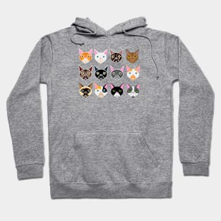 Cats! Hoodie